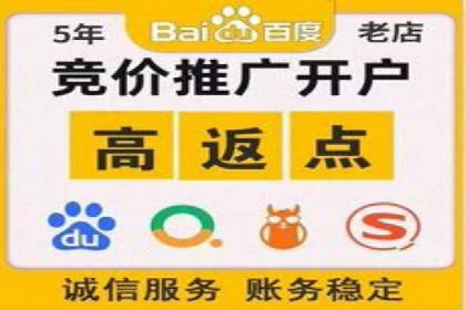 谷歌竞价广告的出价策略及某公司实践案例